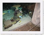 Dierentuin Burgers  Zoo 042 * 3648 x 2736 * (4.64MB)